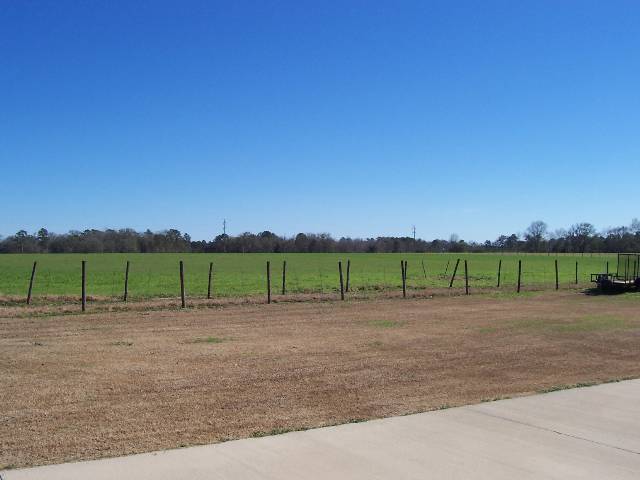 9387 Salem Road Quincy, FL 32352 - Photo 8 of 18 Gallery Image 8