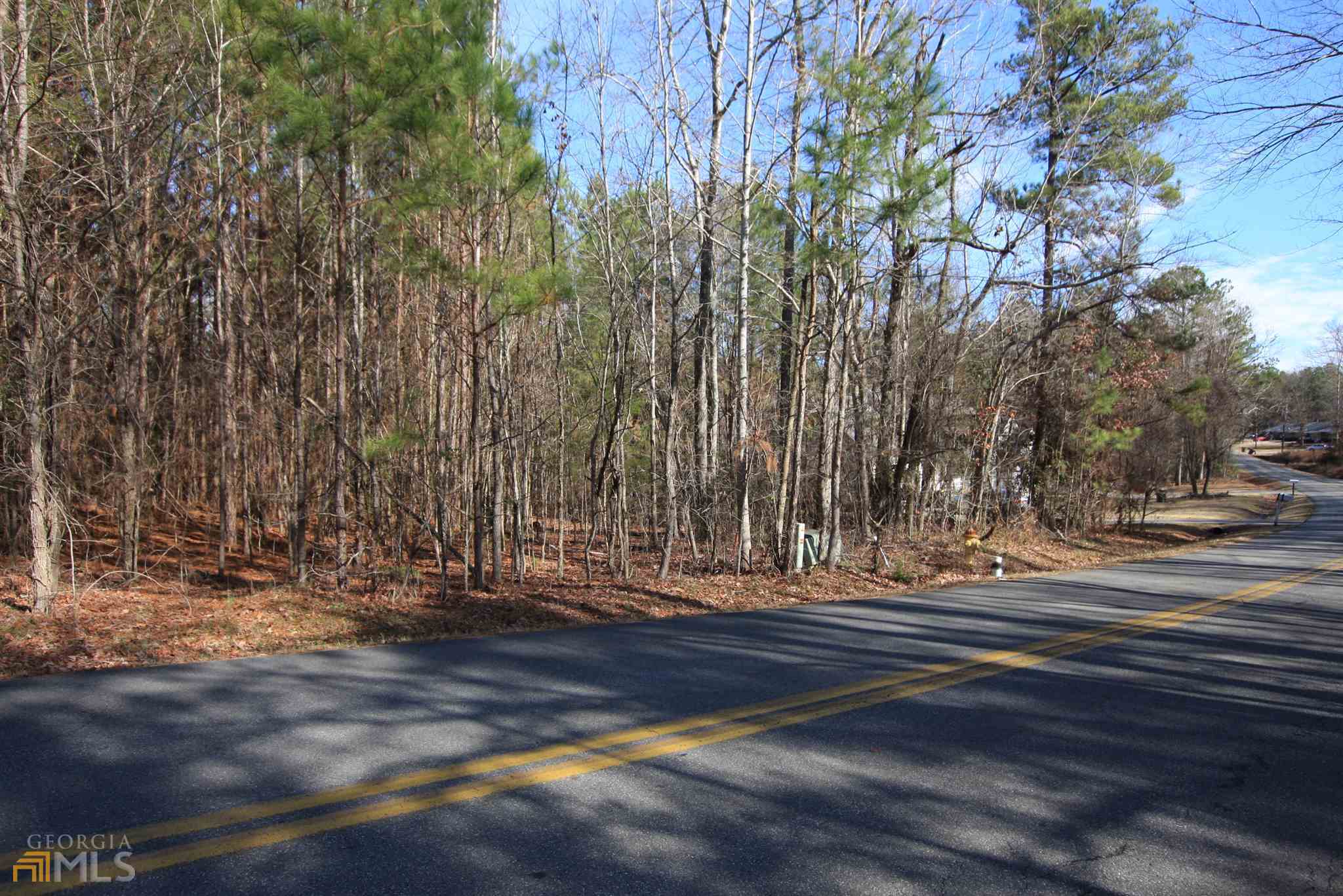 0 Wilkerson Road, Unit LOT 3 Rome, GA 30165 - Photo 1 of 1
