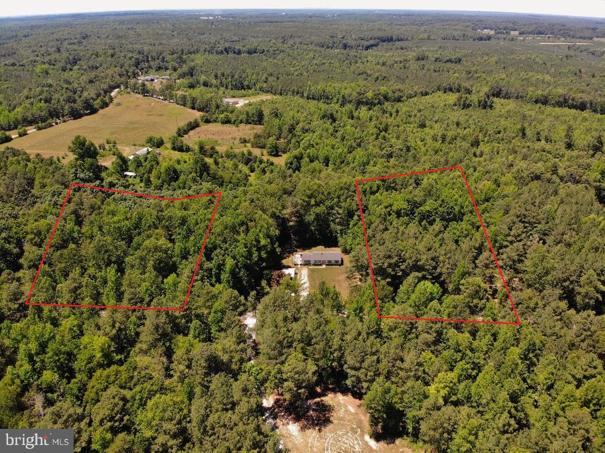 0 Lone Pine Road Crewe, VA 23930 - Photo 12 of 21