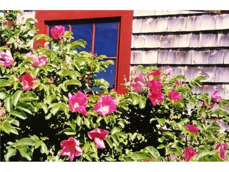 97 West Appleton Road Searsmont, ME 04973 - Photo 13 of 22 Exterior Front. Many plantings are...