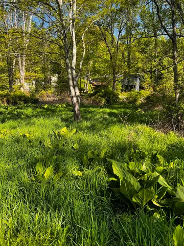 a backyard of a house with lots of green space