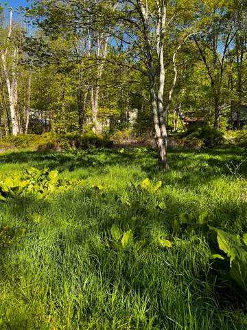 a view of a big yard of a building