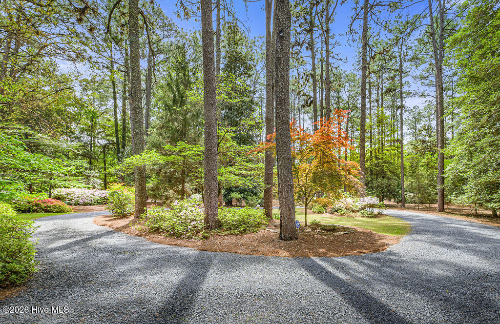 1335 Midland Road Southern Pines, NC 28387 - Photo 81 of 86 -MidlandRd(F)-3206