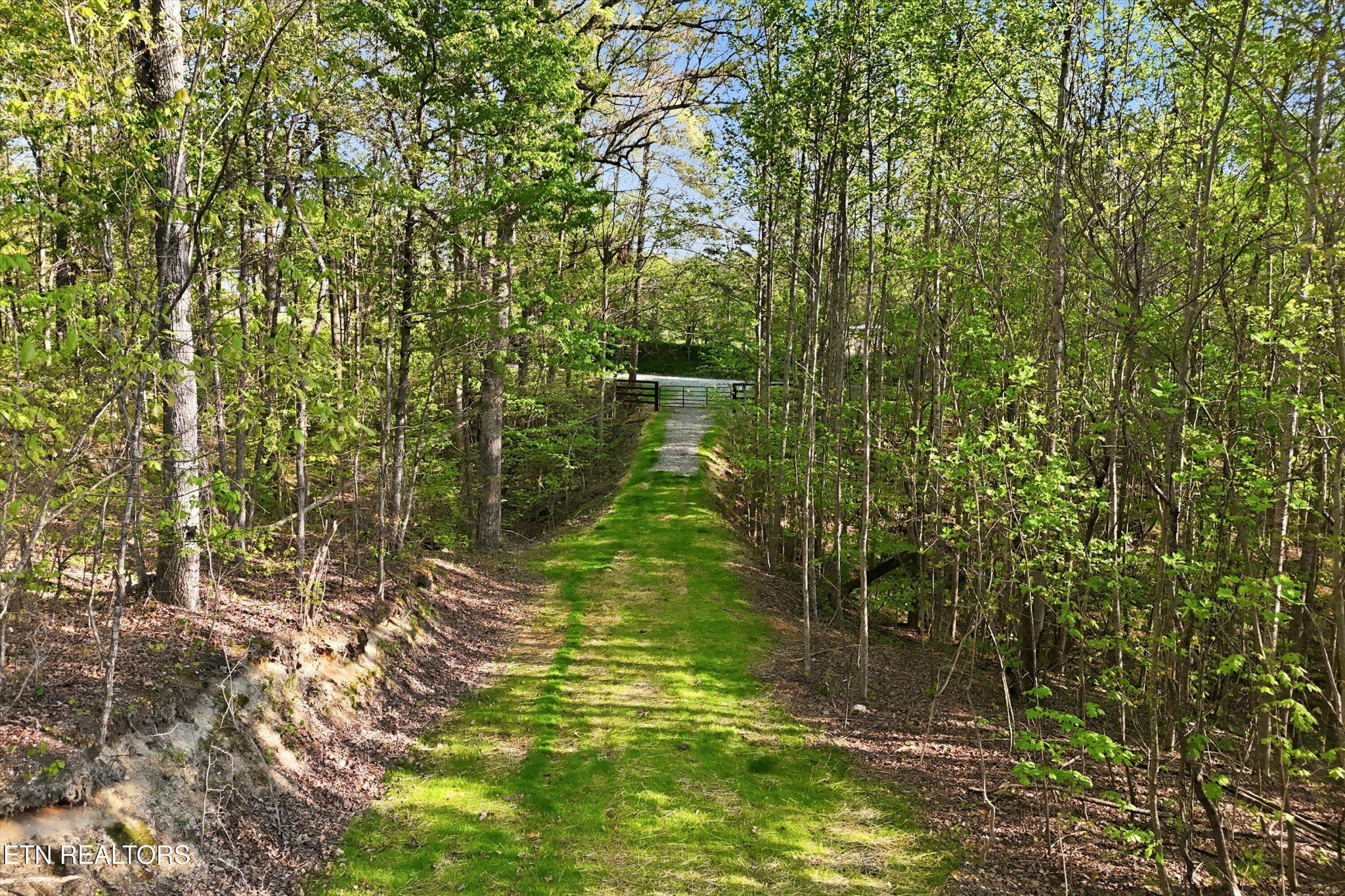 354 Ladd Ridge Road Kingston, TN 37763 - Photo 2 of 31 Gallery Image 2