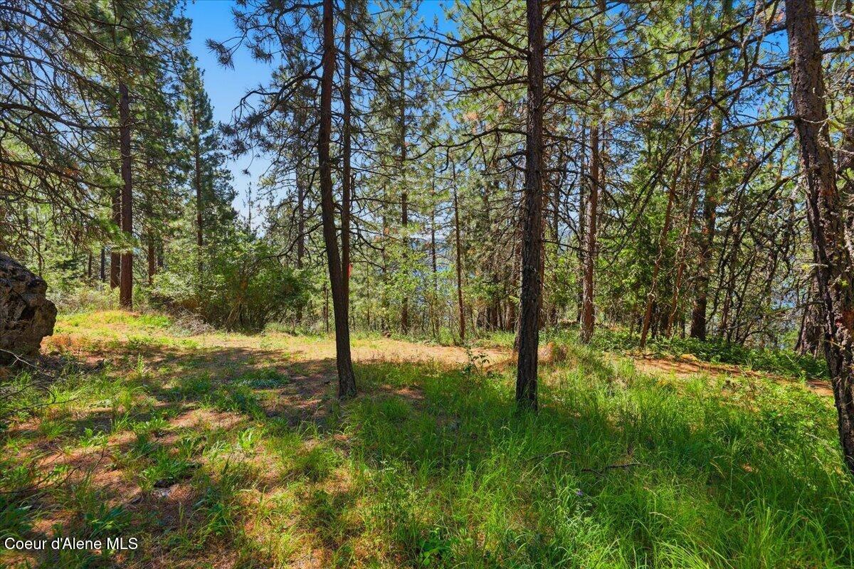 Nna South Prospect Avenue Harrison, ID 83833 - Photo 25 of 38 5+ Acres Views of Lake CDA Zoned R4