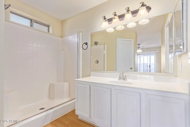 a bathroom with a sink mirror and a shower