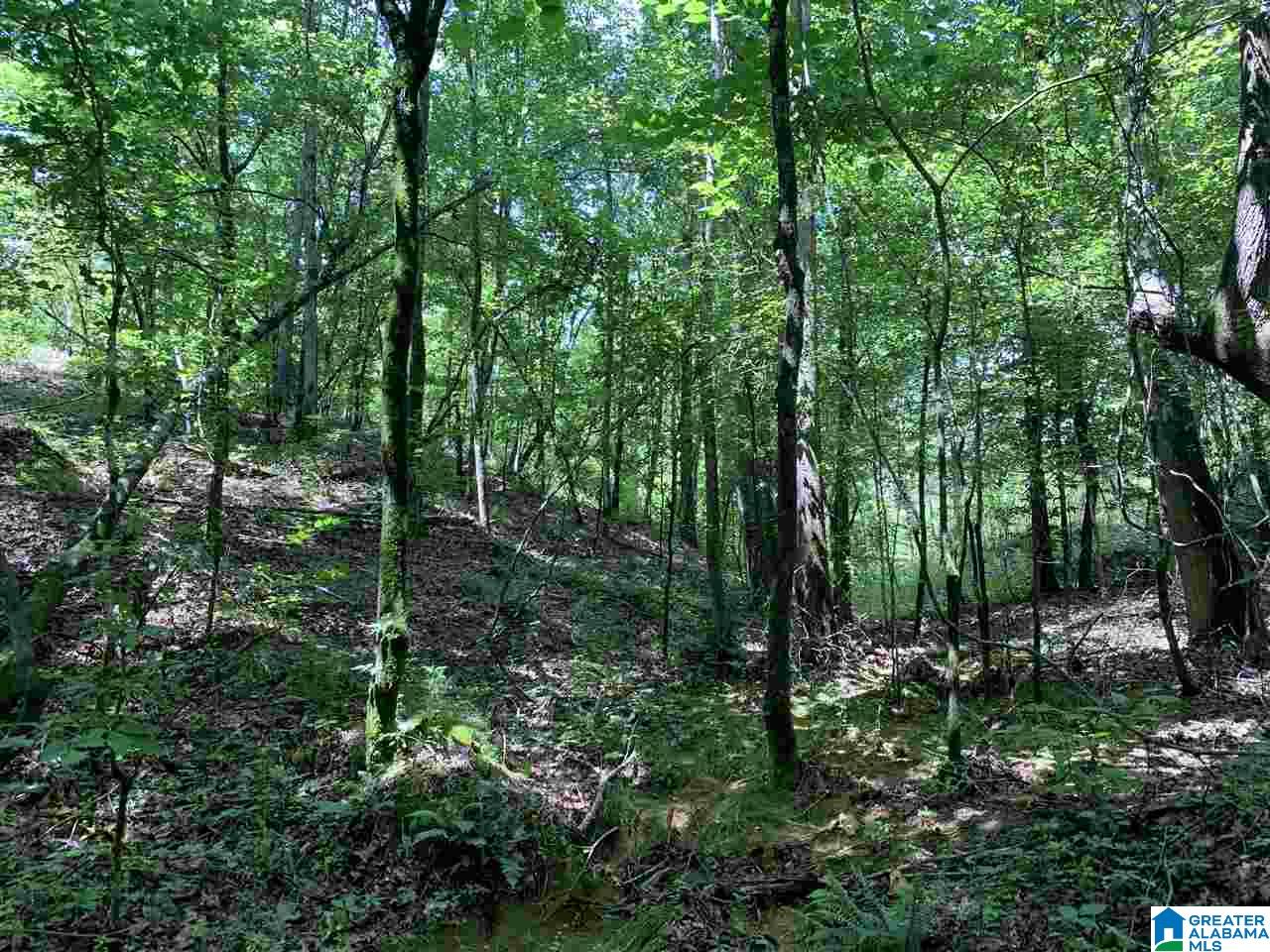 0 Brown Road Calera, AL 35040 - Photo 16 of 18
