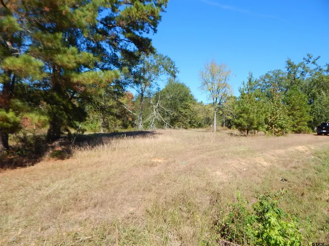 $42,500 | 2 Acres Highway, Gilmer, TX 75645