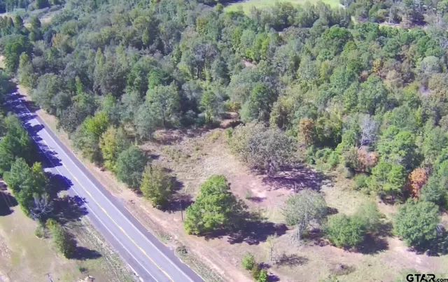 a view of a garden with a pathway