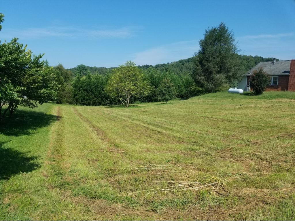 173 Jim Buck Road Johnson City, TN 37601 - Photo 4 of 12 Photo 4