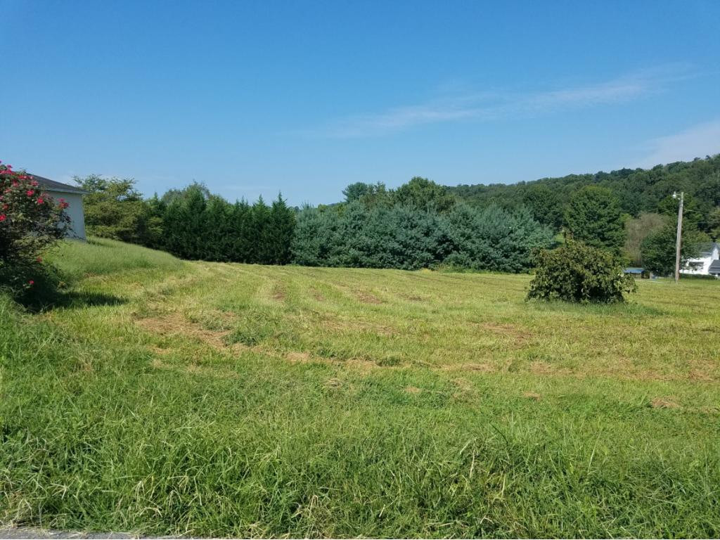 173 Jim Buck Road Johnson City, TN 37601 - Photo 5 of 12 Photo 5