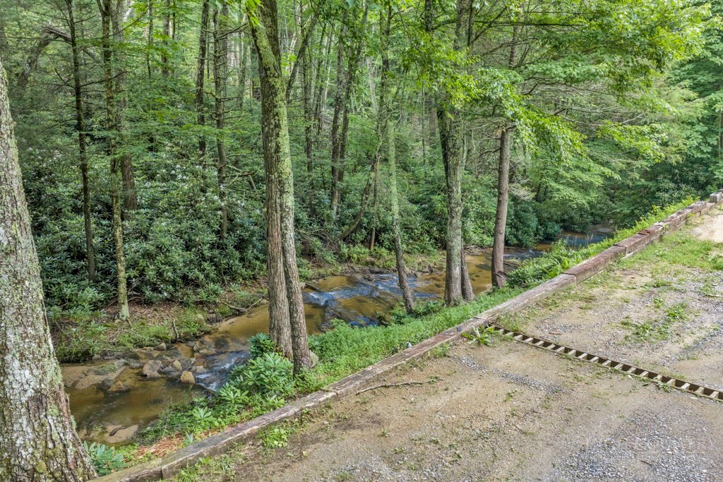 166 Charlie Hicks Road Banner Elk, NC 28604 - Photo 10 of 38