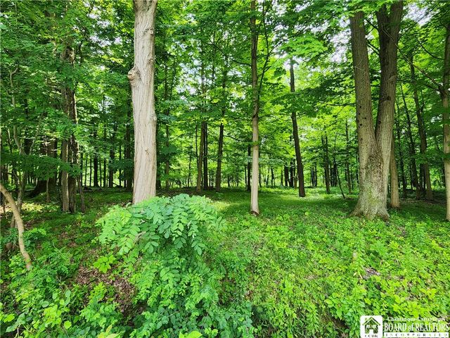 $50,000 | 0 East Livingston Avenue, Jamestown, NY 14701