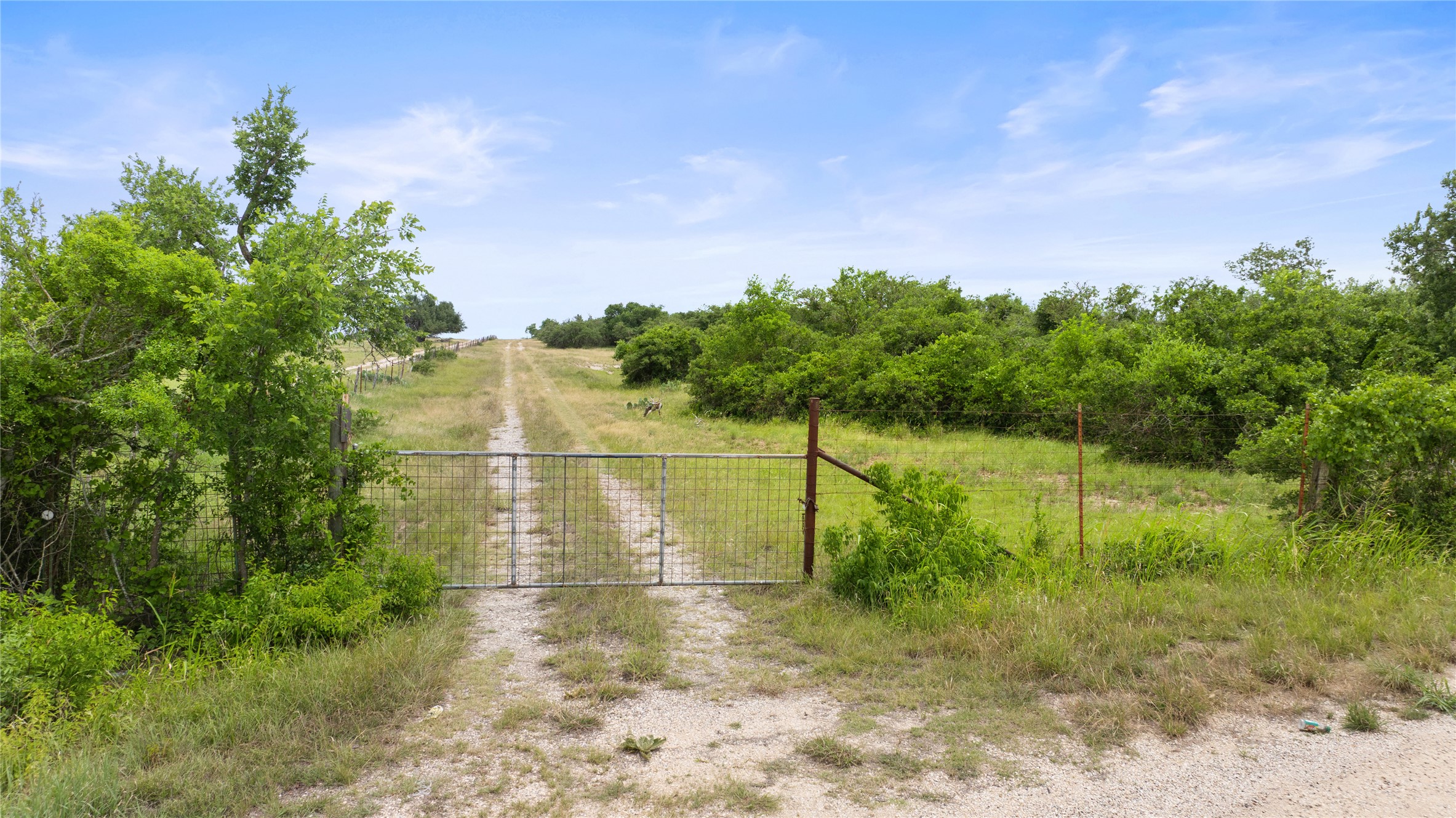 3049 Reservation Road Harper, TX 78631 - Photo 2 of 40 a view of a yard