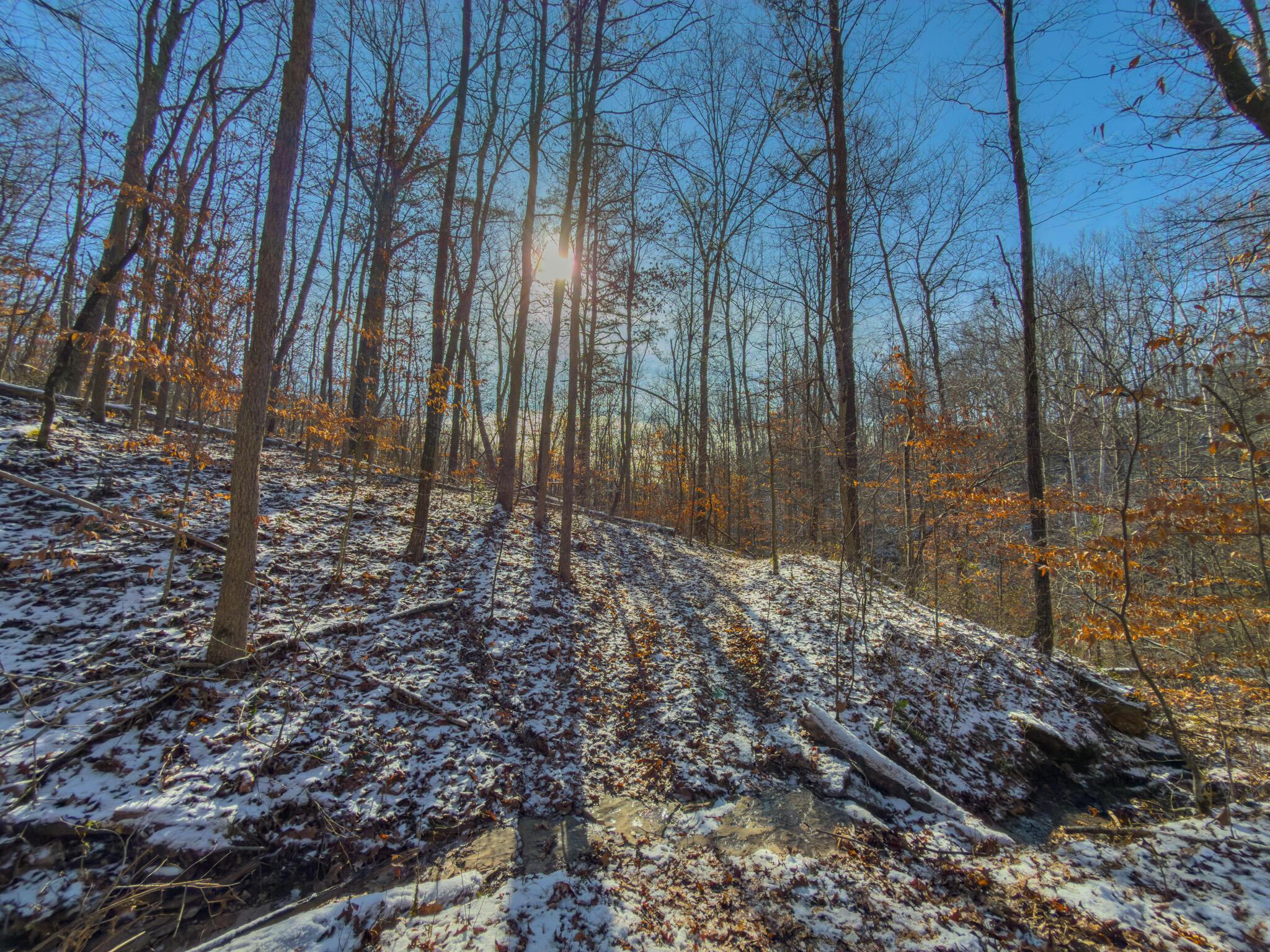 5230 Null Road Coolville, OH 45723 - Photo 18 of 54 Long fork rd.-54