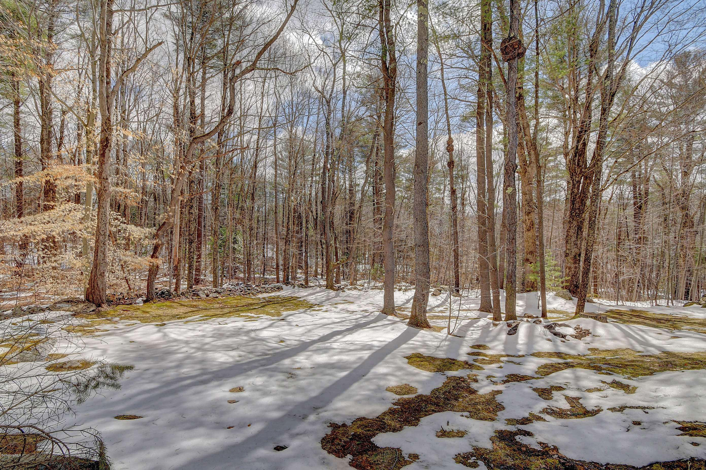 15 Bliven Road Otis, MA 01253 - Photo 30 of 30 a view of outdoor space with trees