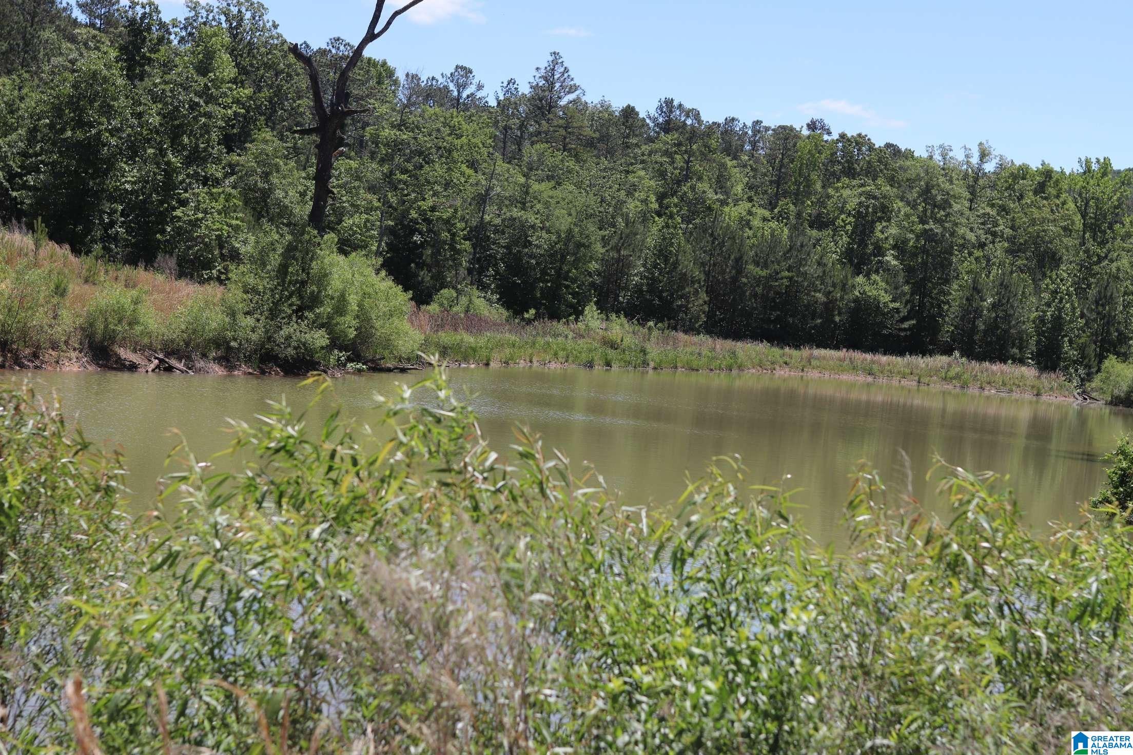 2930 Shocco Springs Road Talladega, AL 35160 - Photo 39 of 93