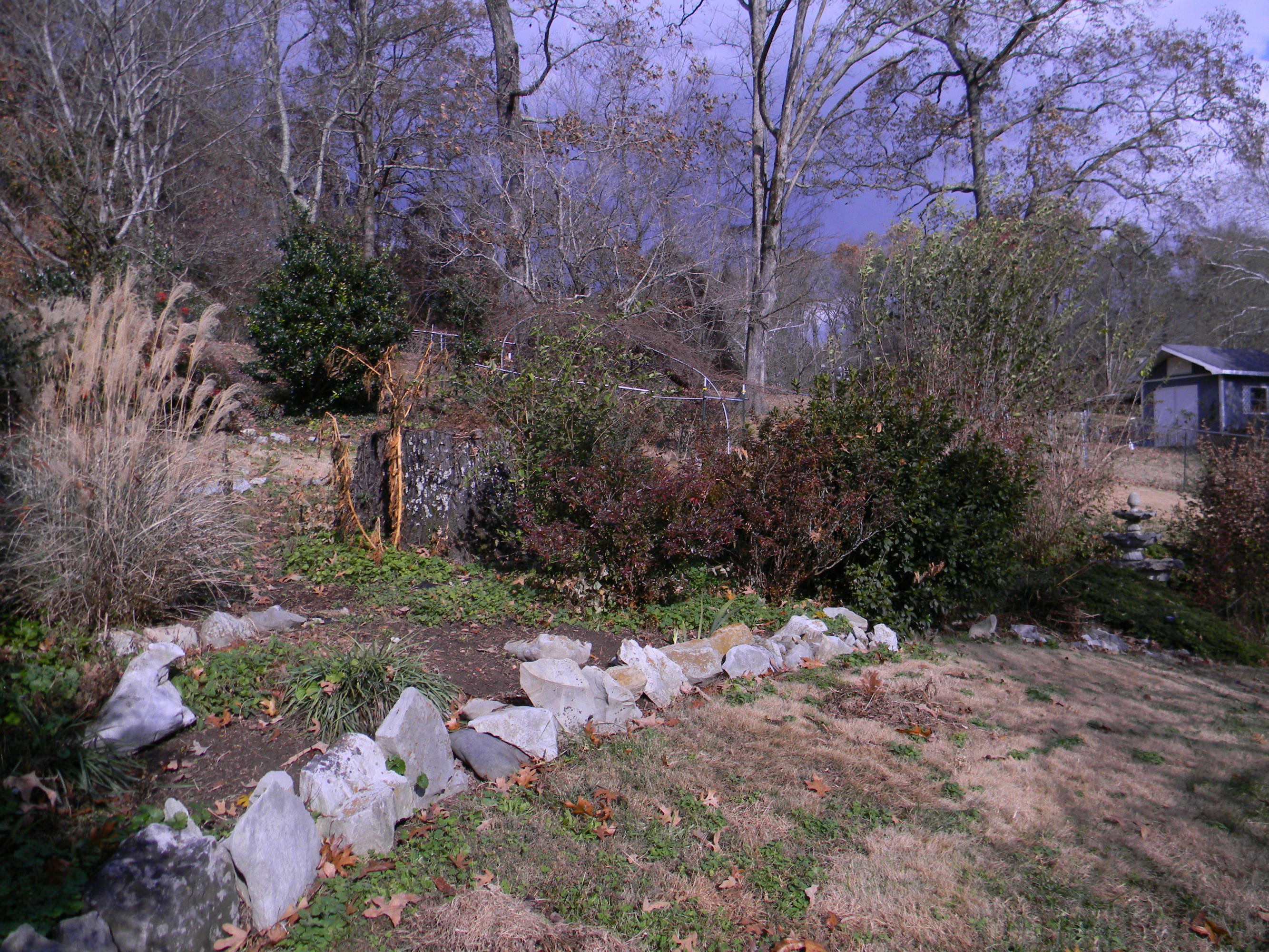 115 Tilden Road Oak Ridge, TN 37830 - Photo 8 of 25 DSCN0665