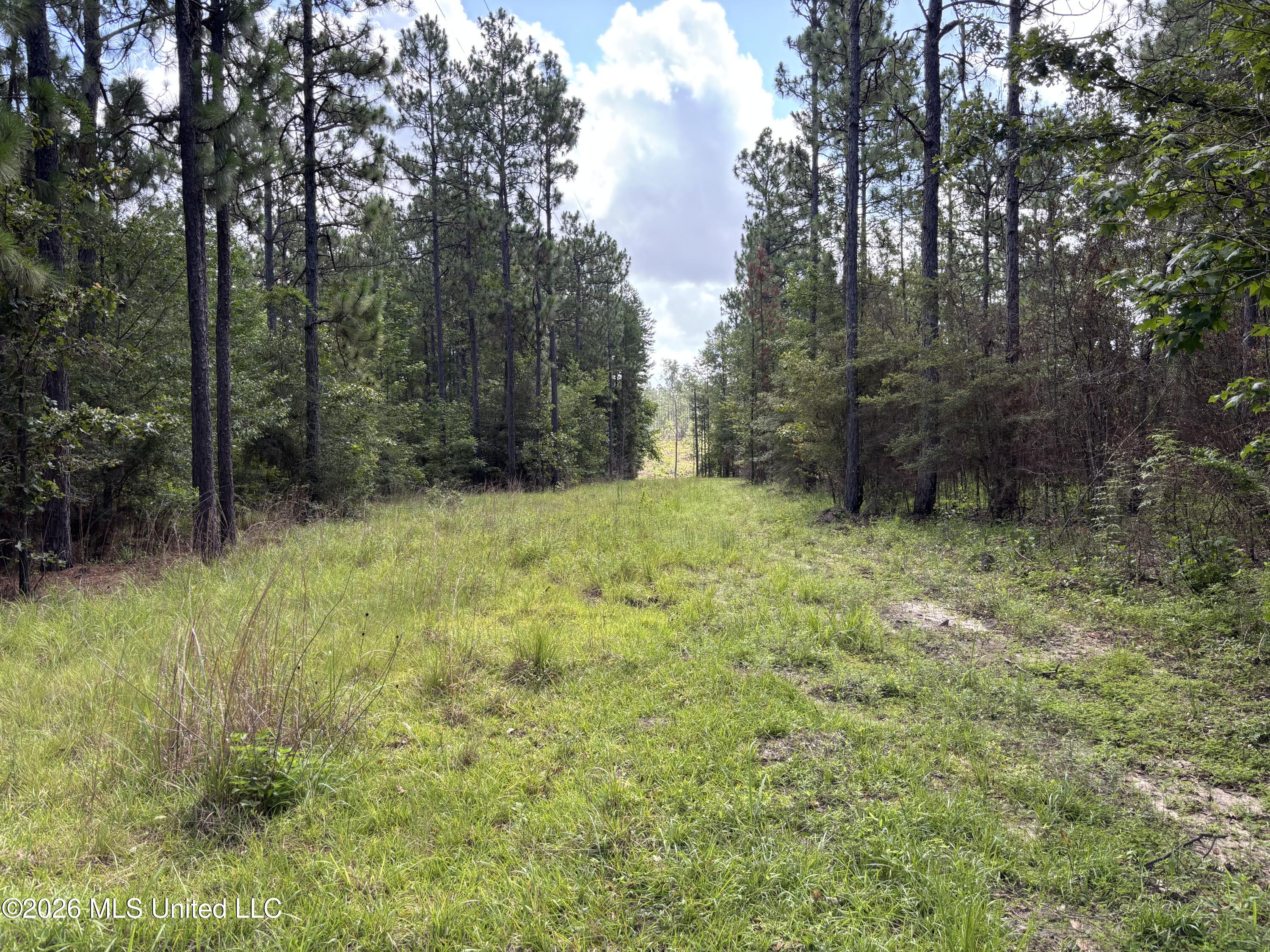 202 Smith Road Lumberton, MS 39455 - Photo 22 of 32 IMG_2961