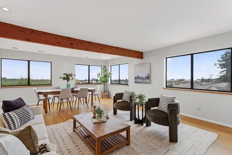 a living room with furniture a rug potted plant and a large window