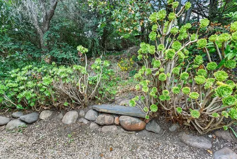a view of a garden with a chair and potted plants