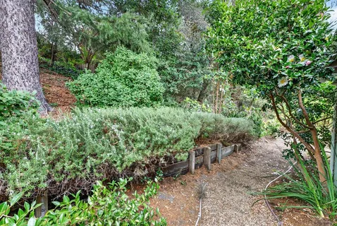 a view of a garden with a bench