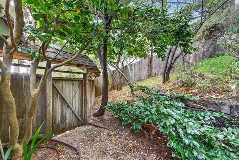 a backyard of a house with lots of green space