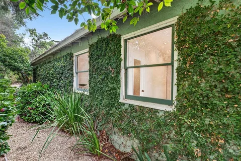 a small garden with a tree in front of it