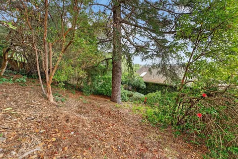 a backyard of a house with lots of green space