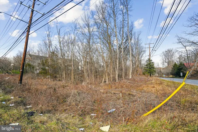 a view of backyard with green space