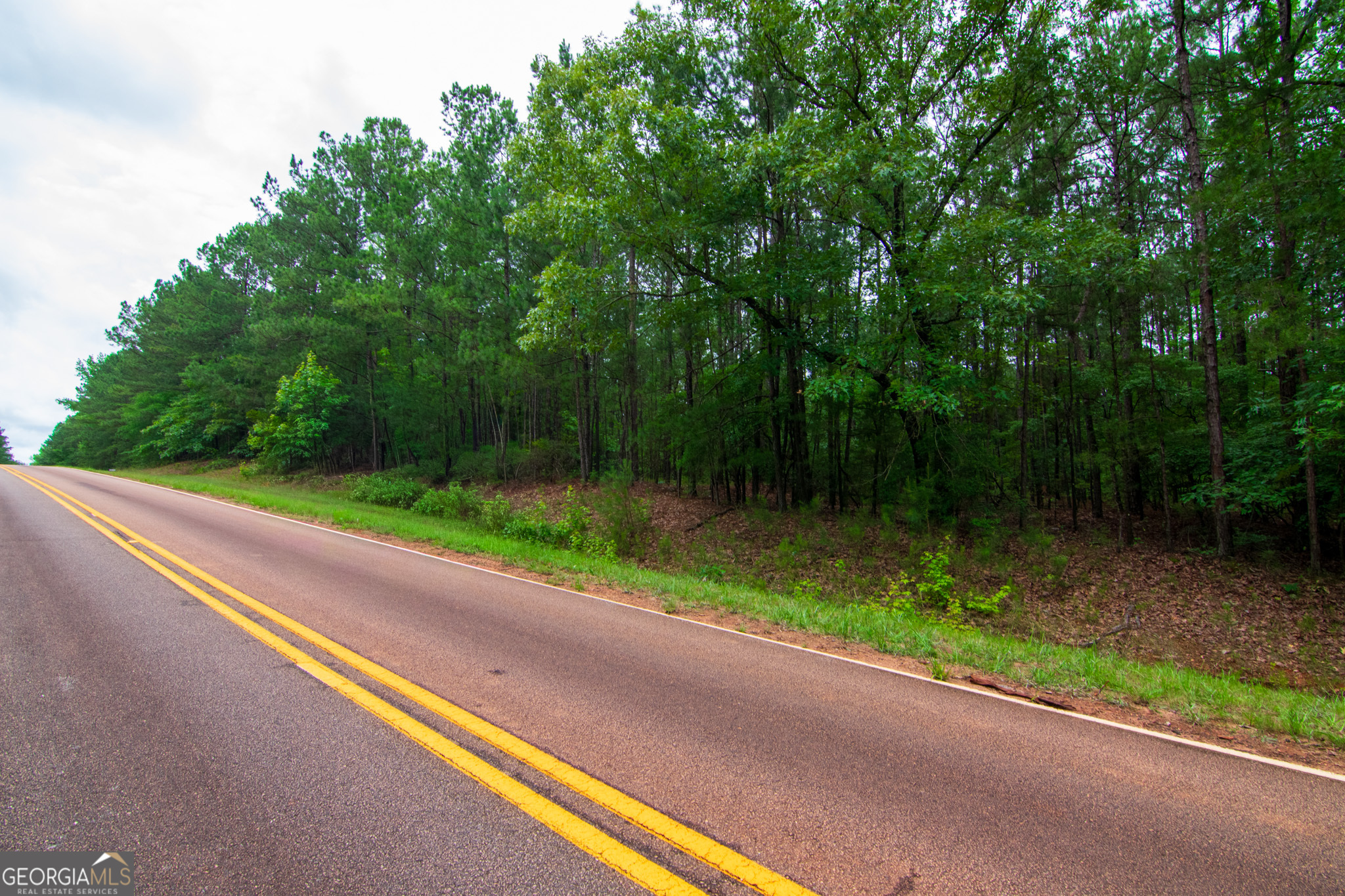 0 White Road Pine Mountain, GA 31822 - Photo 3 of 9