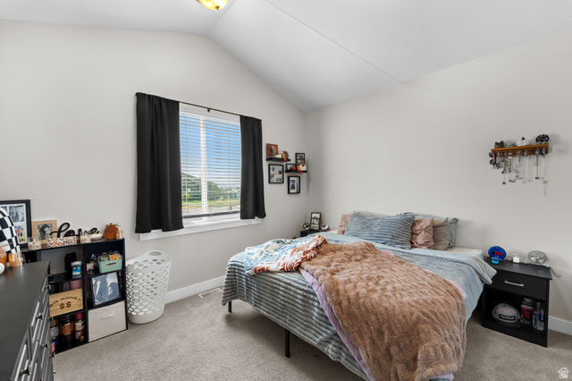 3678 Spiral Springs Road, Unit 204 Tooele, UT 84074 - Photo 16 of 59 Vaulted ceiling with a flush-mount light fixture