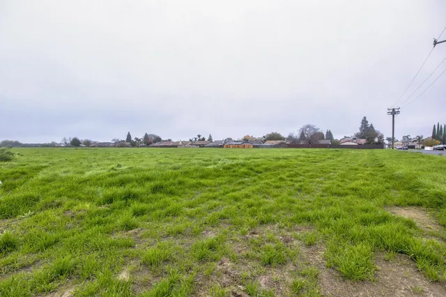a view of a big yard with a large trees