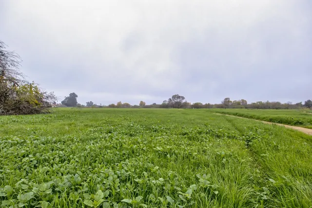 a view of yard with outdoor space