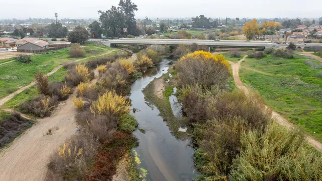 a view of a balcony with a plant