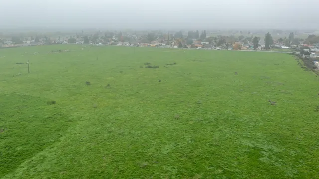a view of a green field with clear sky
