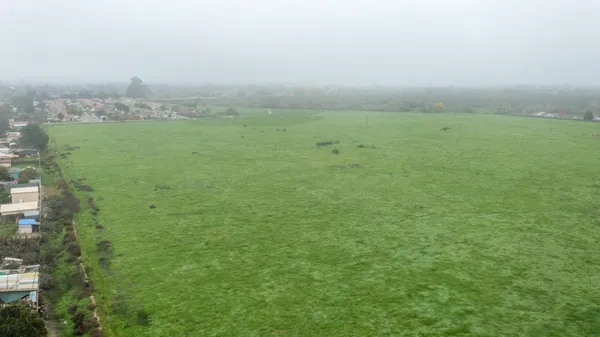 a view of a field with an ocean