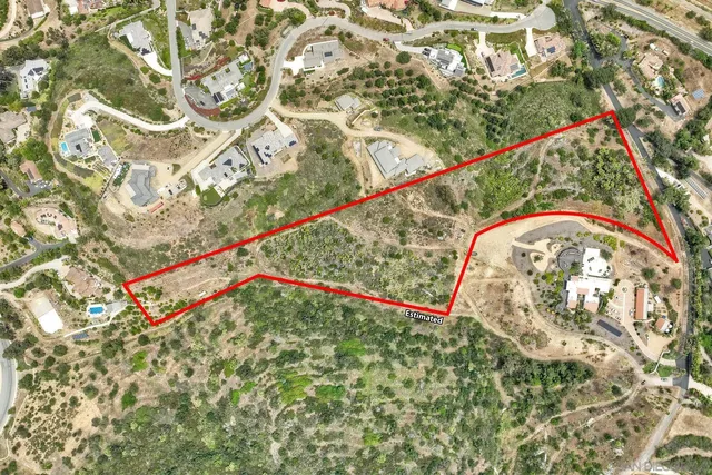 a close up of a plant with a plant