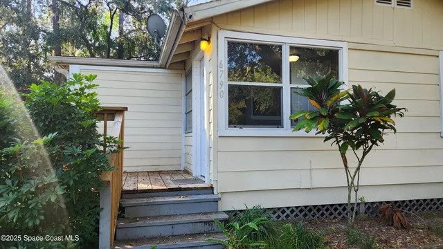 a potted plant sitting in front of a house