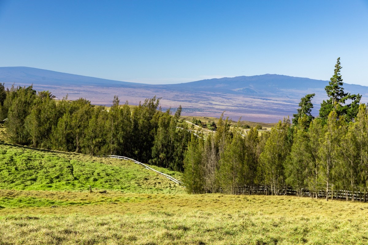 365 Kohala Ranch Road Kamuela, HI 96743 - Photo 3 of 10 Gallery Image 3