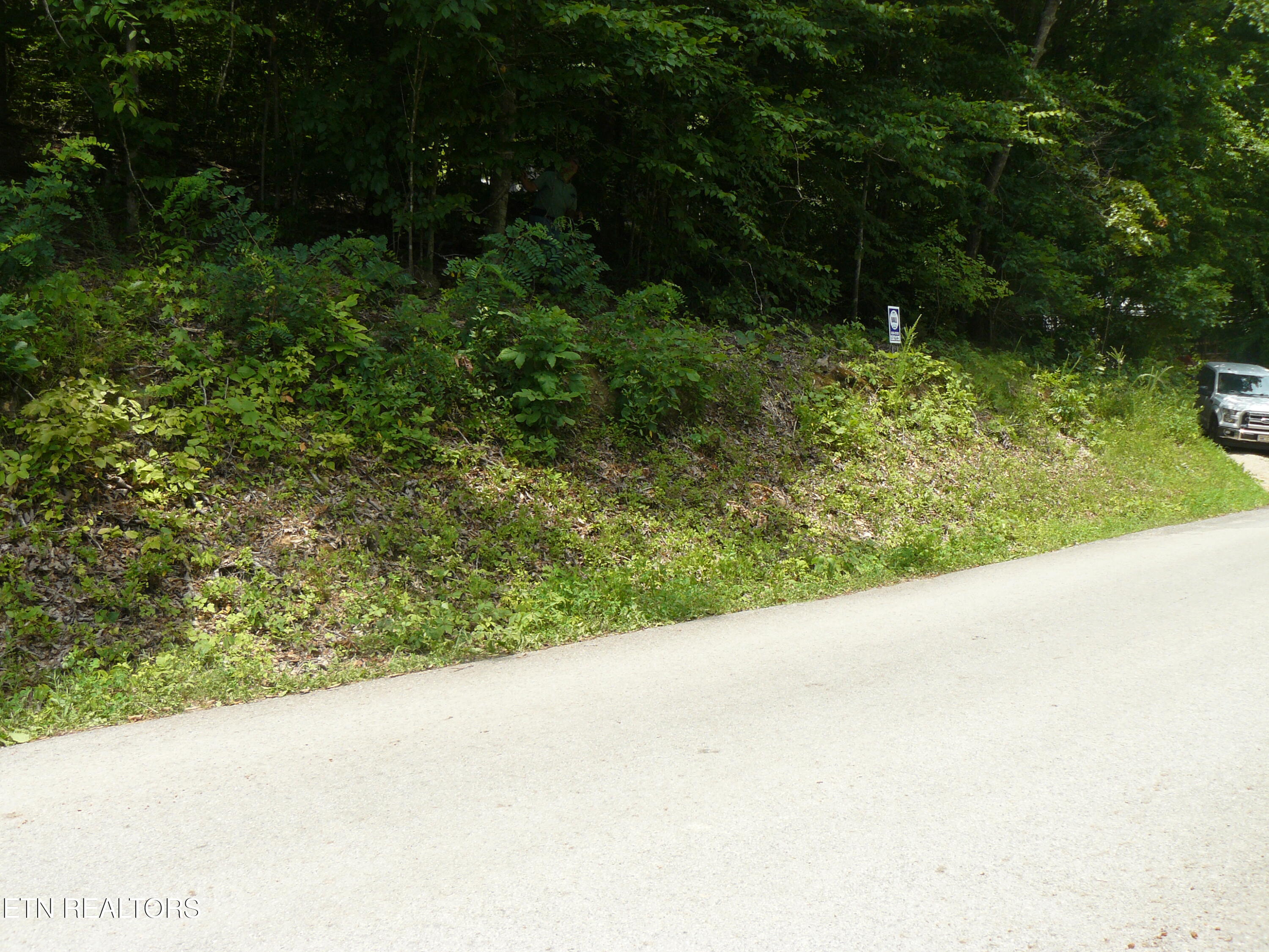 Tanglewood Road Sharps Chapel, TN 37866 - Photo 2 of 5 P1430302