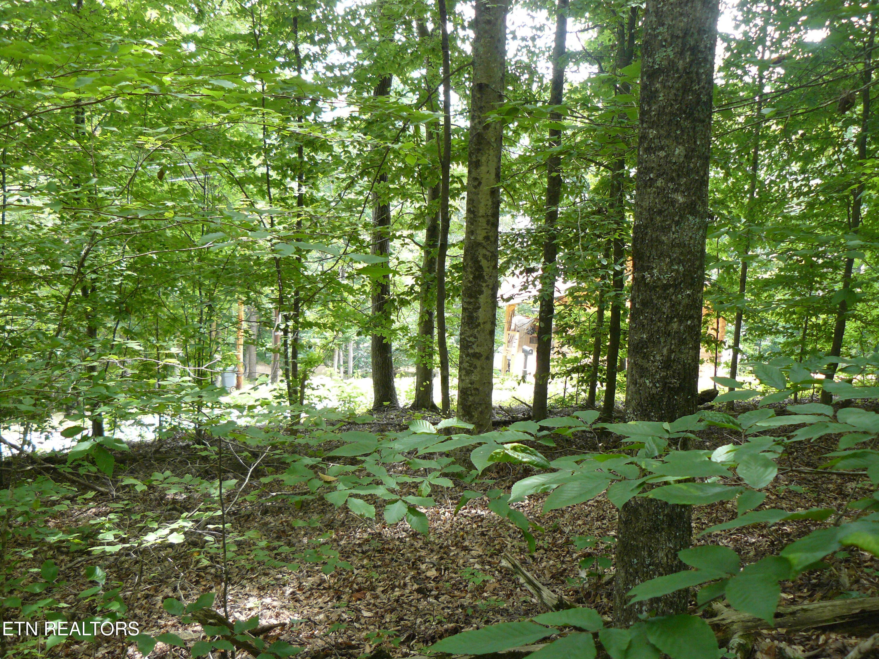 Tanglewood Road Sharps Chapel, TN 37866 - Photo 3 of 5 P1430304