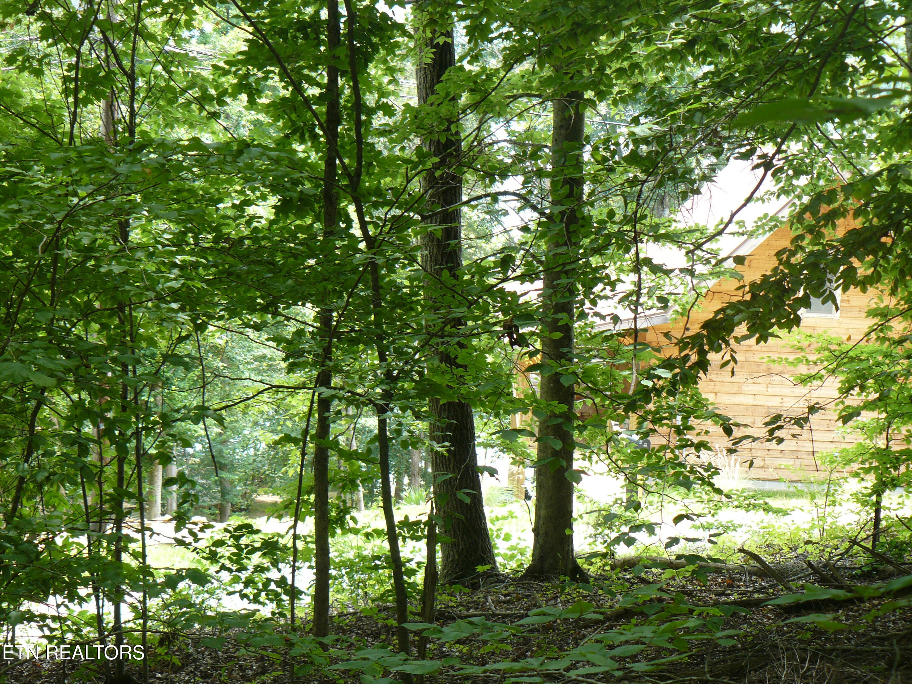 Tanglewood Road Sharps Chapel, TN 37866 - Photo 4 of 5 P1430305