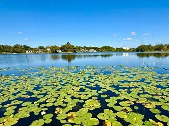 a view of lake and mountain