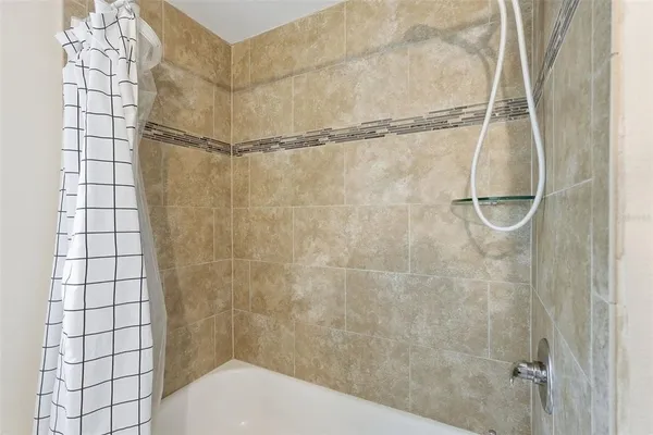 a view of a backyard with plants and large tree