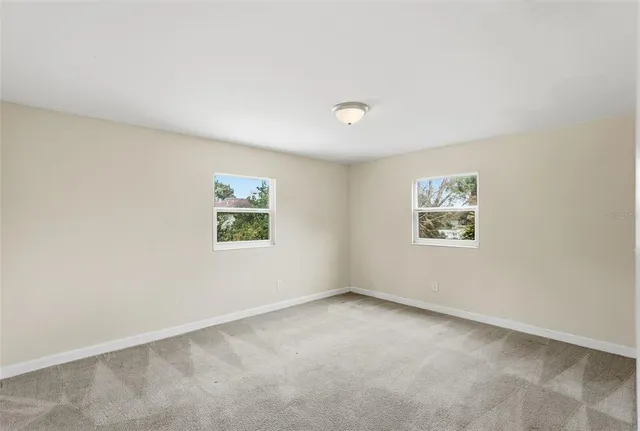 a view of a backyard with plants and large tree