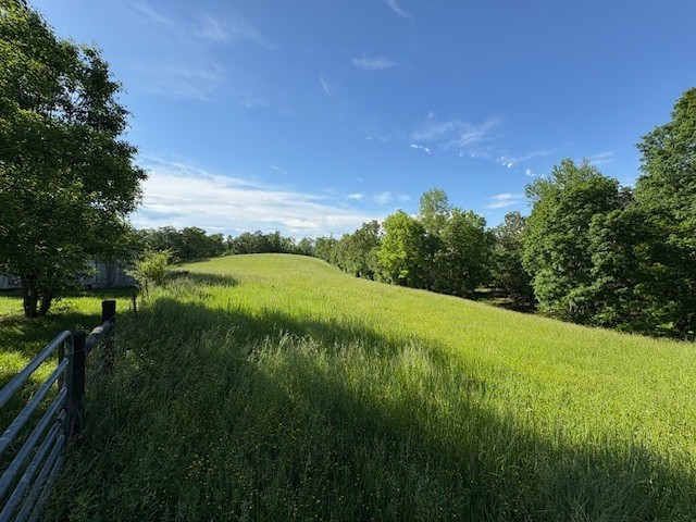 1012 Topsy Store Road Waynesboro, TN 38485 - Photo 7 of 7