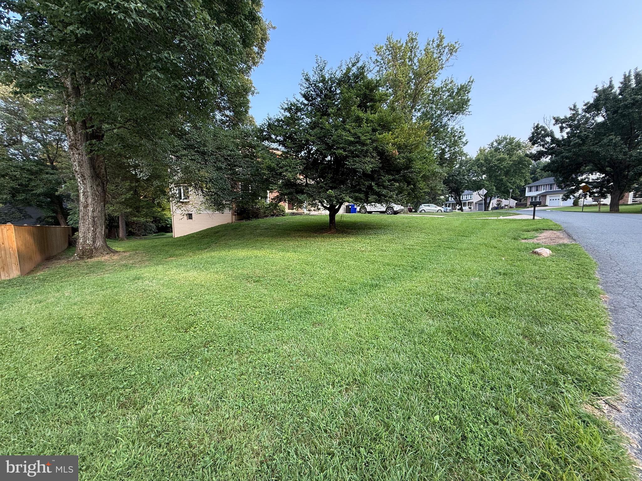 14917 Lear Lane Silver Spring, MD 20905 - Photo 37 of 49 a view of a trees in a yard