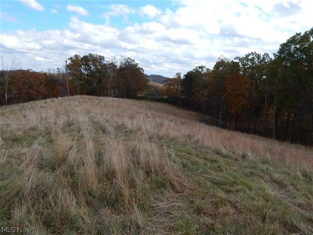 85 Mt Olivet Road Ellenboro, WV 26346 - Photo 22 of 31 Gallery Image 22