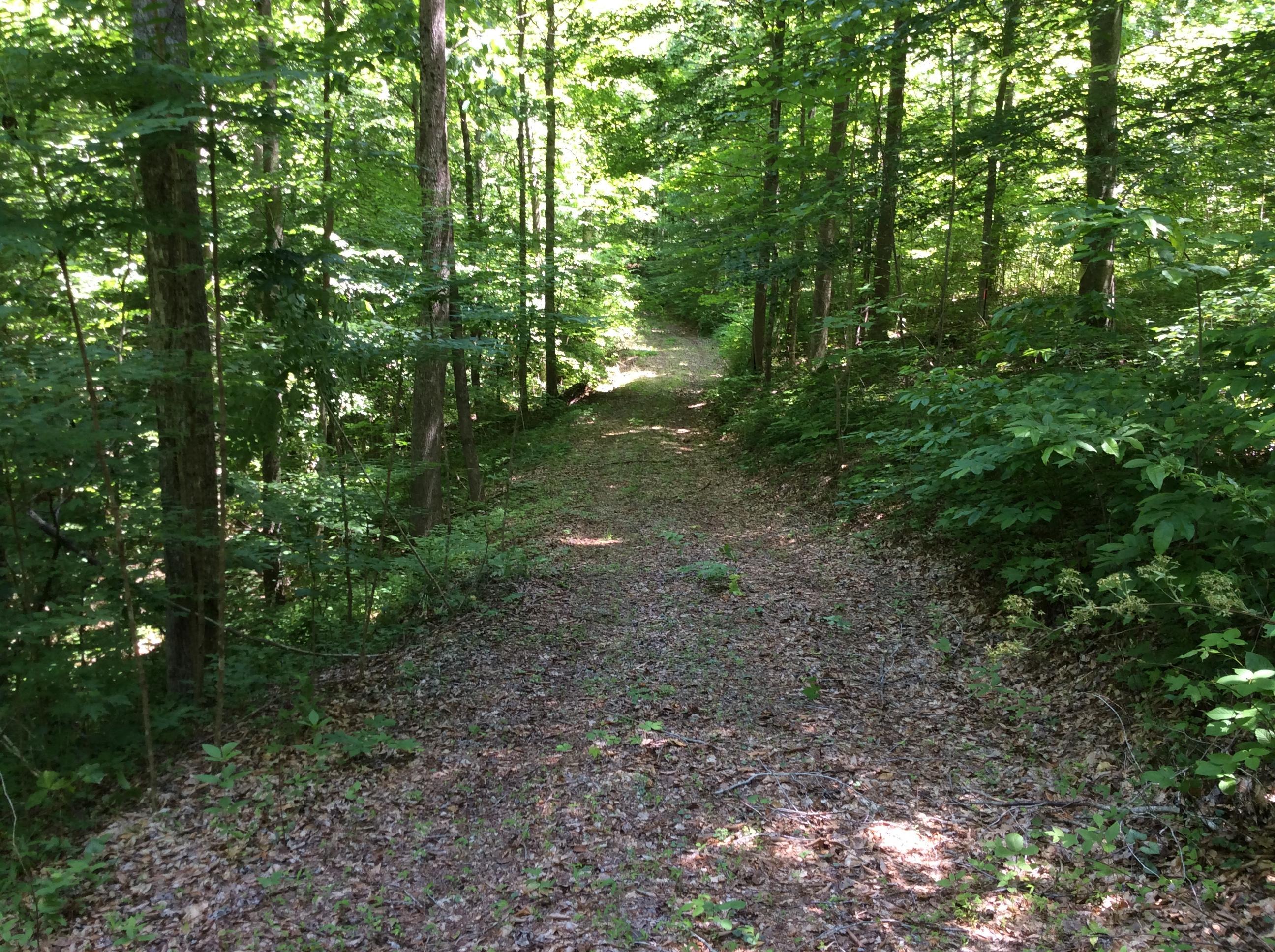 268 Warren Road Science Hill, KY 42553 - Photo 25 of 26 Trail 18